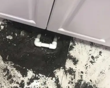东海查漏水哪家好
