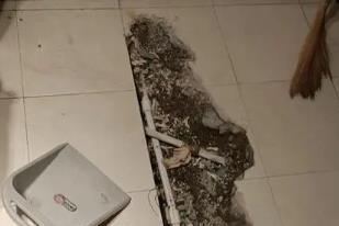 东海卫生间漏水检测电话